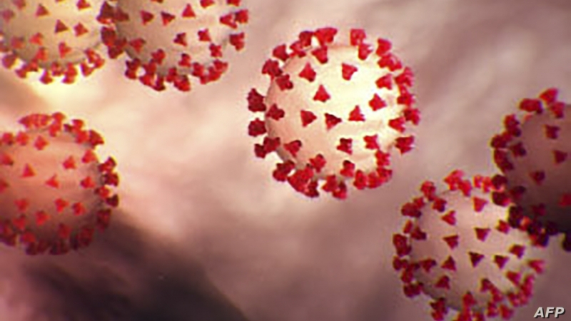 “كوفيد – 22”.. فيروس كورونا المنتشر غير الحقيقي
