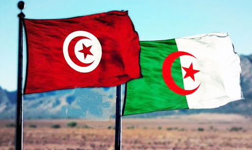 إتفاق تونسي جزائري على تشكيل فريق عمل مشترك لتعزيز التعاون الصحي بين البلدين