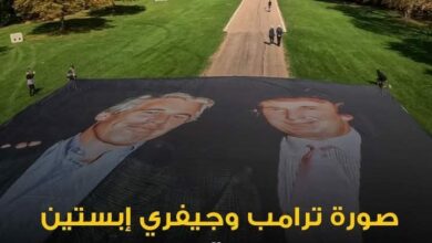 زيارة ترامب, قلعة وندسور, جيفري إبستين,