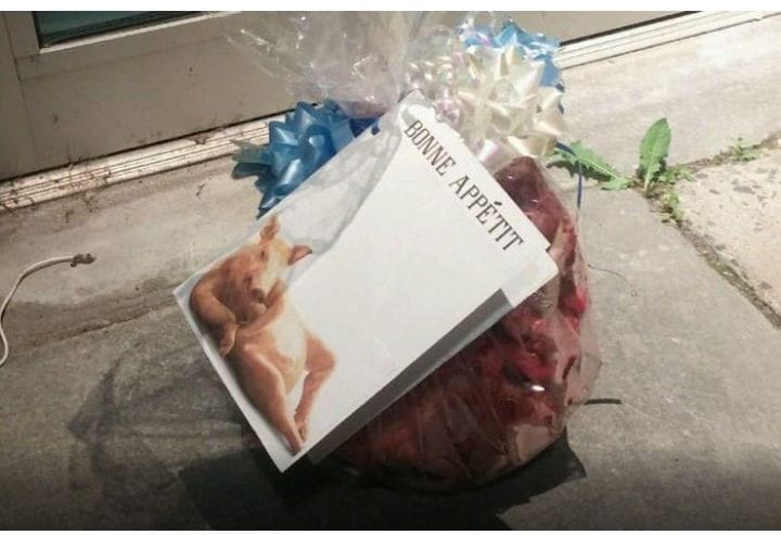 رؤوس خنازير أمام مساجد باريس أثناء تفقد الشرطة للمكان، حادث استفزازي ضد المسلمين