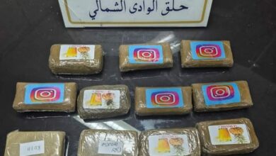صفائح مخدر القنب الهندي المضبوطة