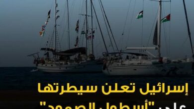 اعتراض أسطول الصمود من قبل القوات الإسرائيلية