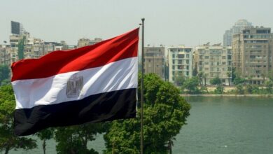 وزير الخارجية المصري يكشف كواليس مفاوضات شرم الشيخ بشأن خطة ترامب لغزة