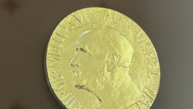 ثلاثة علماء يفوزون بجائزة نوبل في الطب لعام 2025 لاكتشافهم آلية "التحمل المناعي المحيطي" التي تمنع جهاز المناعة من مهاجمة أنسجة الجسم.