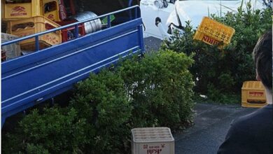 حادث دهس في اليابان