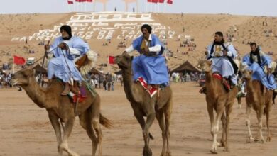 قرار مجلس الأمن حول الصحراء الغربية “غير قابل للتطبيق” لهذه الأسباب