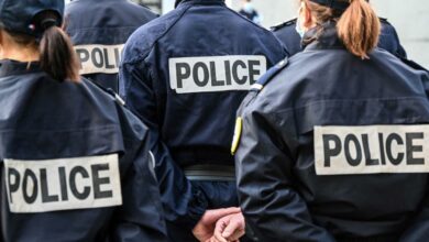Il se rebelle pour échapper à son expulsion vers la Tunisie, le pilote refuse de décoller