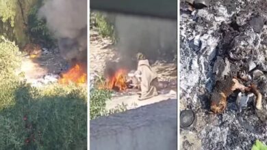 امرأة تحرق في القطط بالملاسين