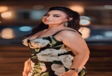 القبض على المطربة بوسي في مطار القاهرة الدولي أثناء محاولتها السفر إلى دبي، بسبب صدور أحكام قضائية ضدها في قضايا شيكات بدون رصيد، والتحقيق جاري من قبل النيابة العامة