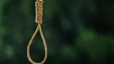 إيران تنفذ حكم الإعدام بحق بهمن تشوبياسل