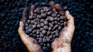 غينيا تبدأ تصدير خام الحديد من أكبر احتياطي في العالم