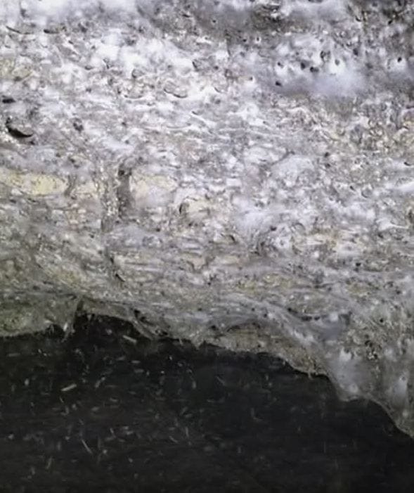 اكتشاف "مدينة عنكبوتية" ضخمة تحت الأرض في جنوب أوروبا